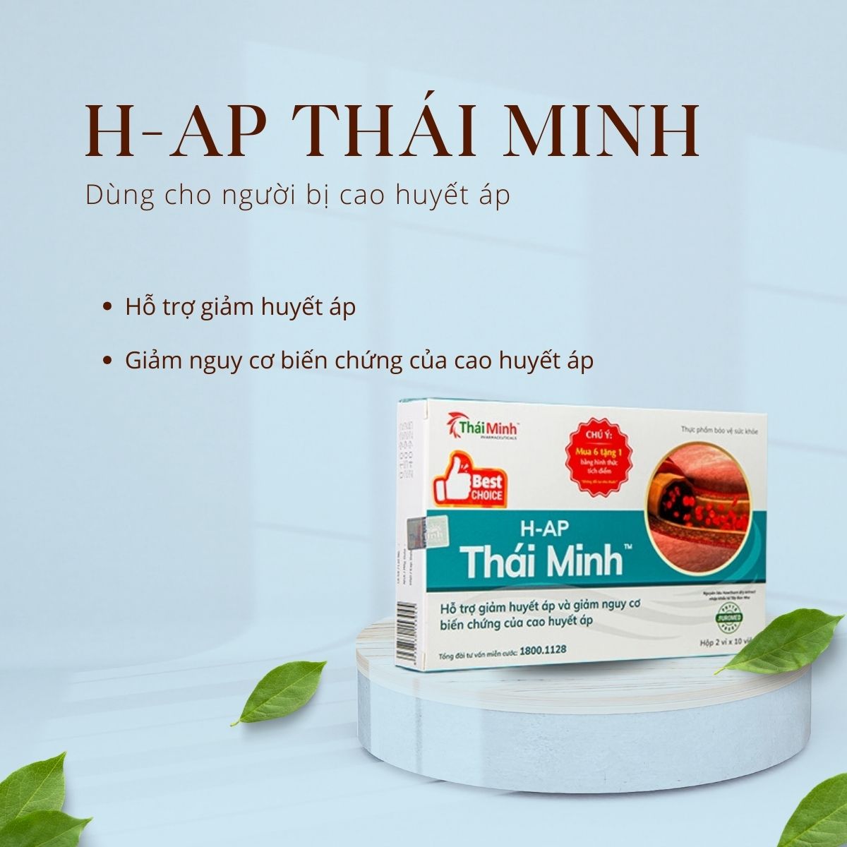 H-Ap Thái Minh