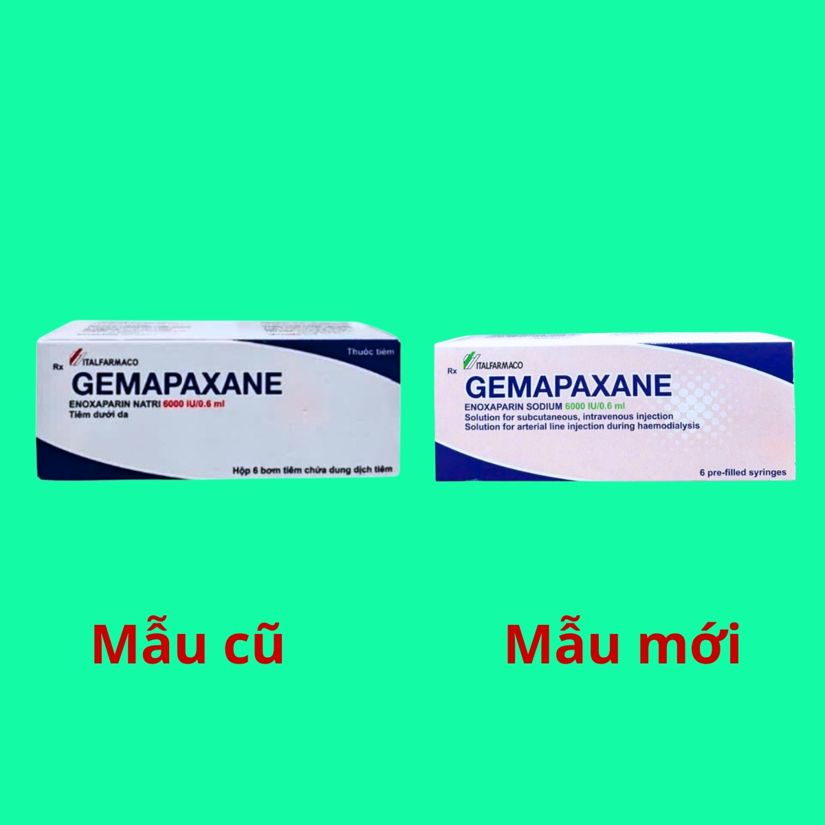 Gemapaxane 6000 IU/0.6 ml 11