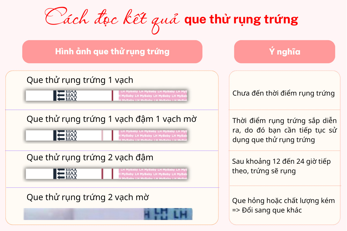 Cách đặt kết quả que thử rụng trứng