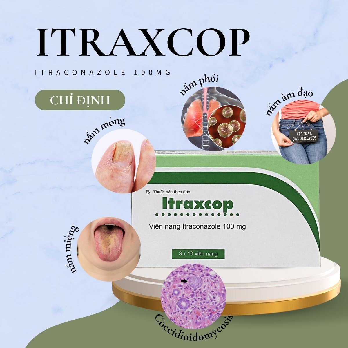 Thuốc Itraxcop