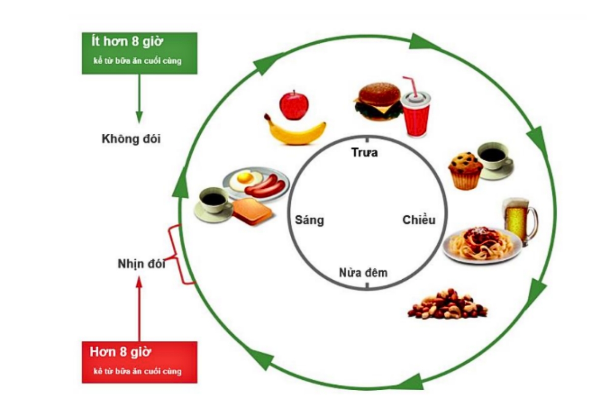 Hình 4. Tình trạng “đói” chỉ chiếm một khoảng thời gian rất nhỏ trong ngày