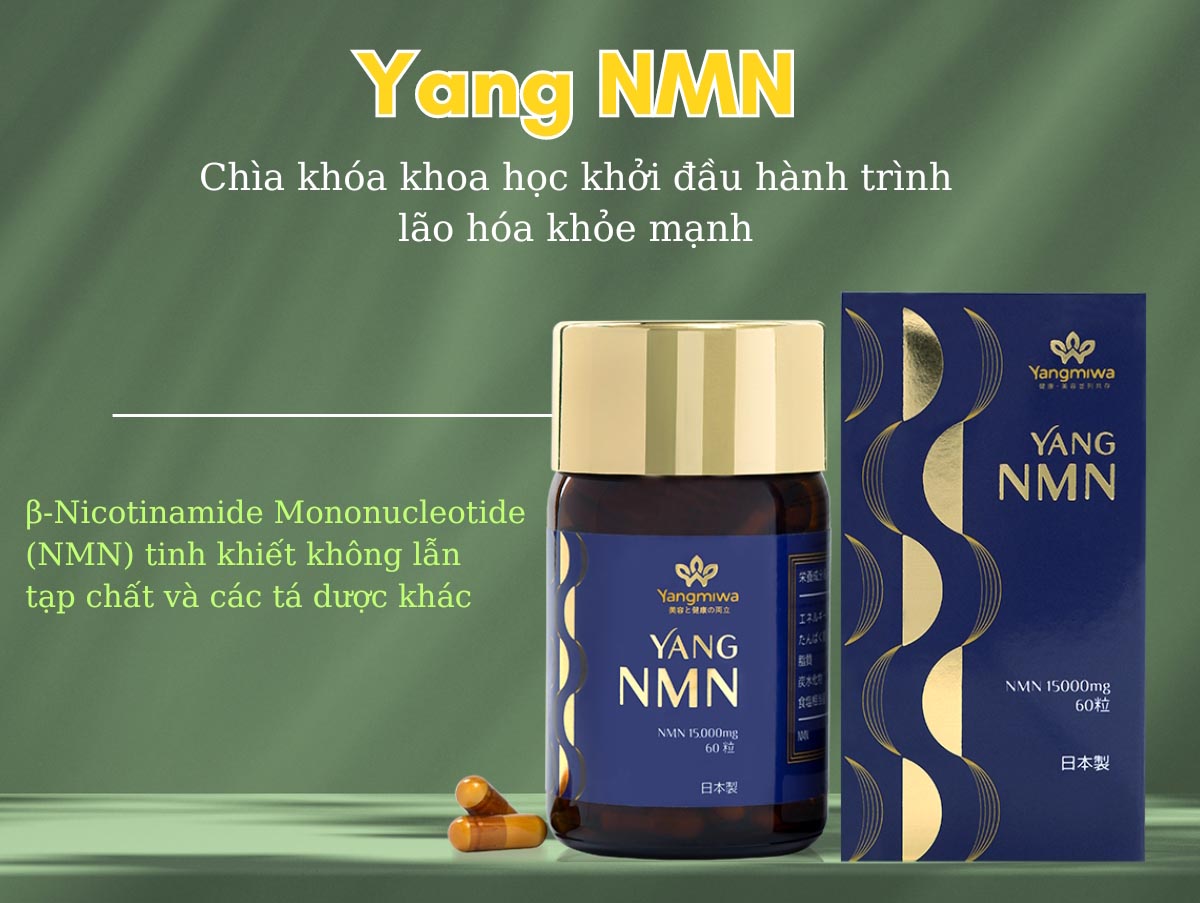 Yang NMN 15.000mg