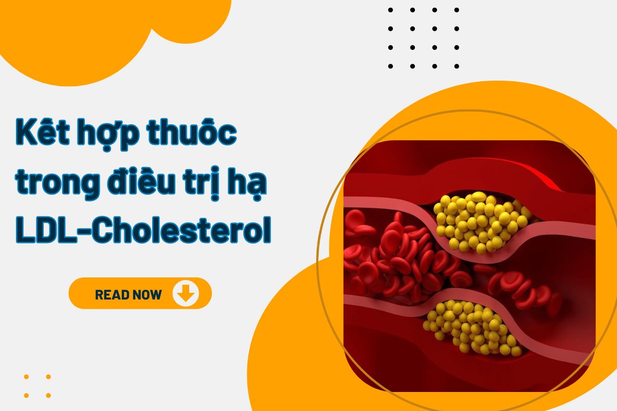 Bàn về kết hợp thuốc trong điều trị hạ LDL-Cholesterol