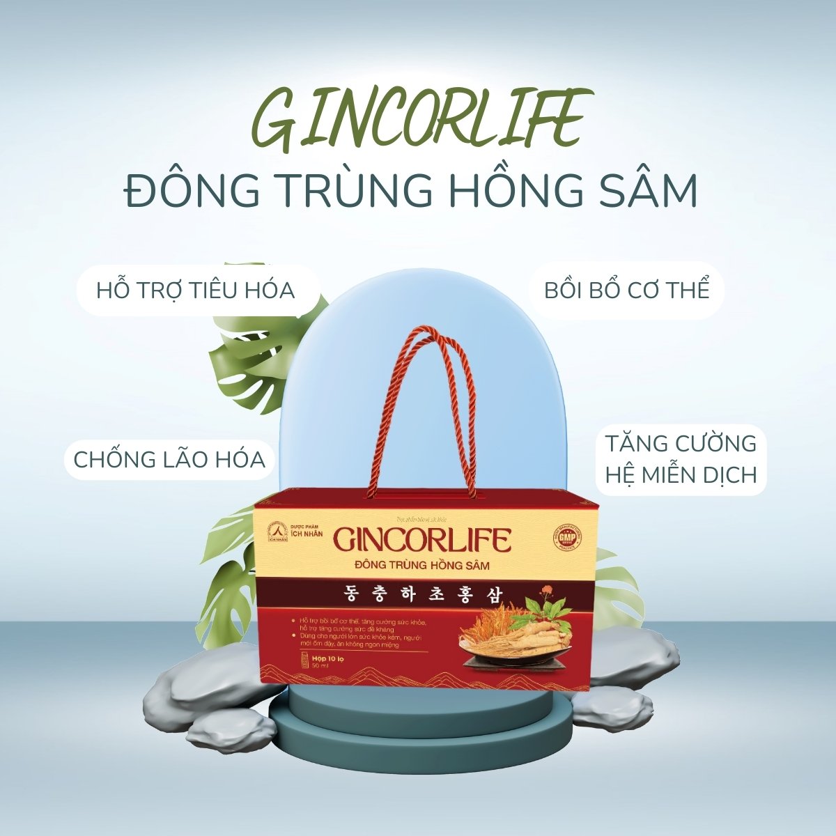 Gincorlife Đông trùng Hồng sâm