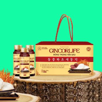 Gincorlife Đông trùng Yến sào