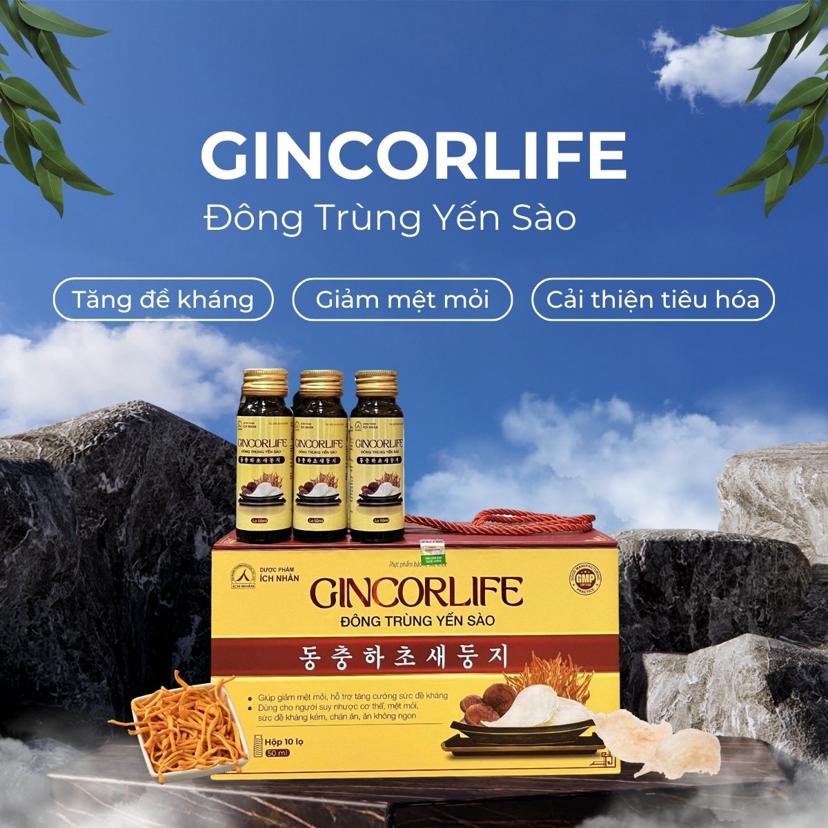 Gincorlife Đông trùng Yến sào