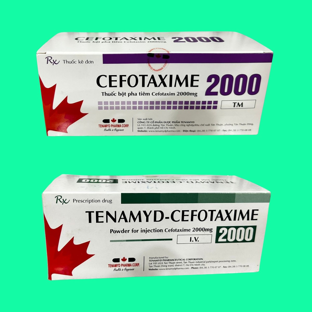 Phân biệt Tenamyd-Cefotaxime 2000 và Cefotaxime 2000