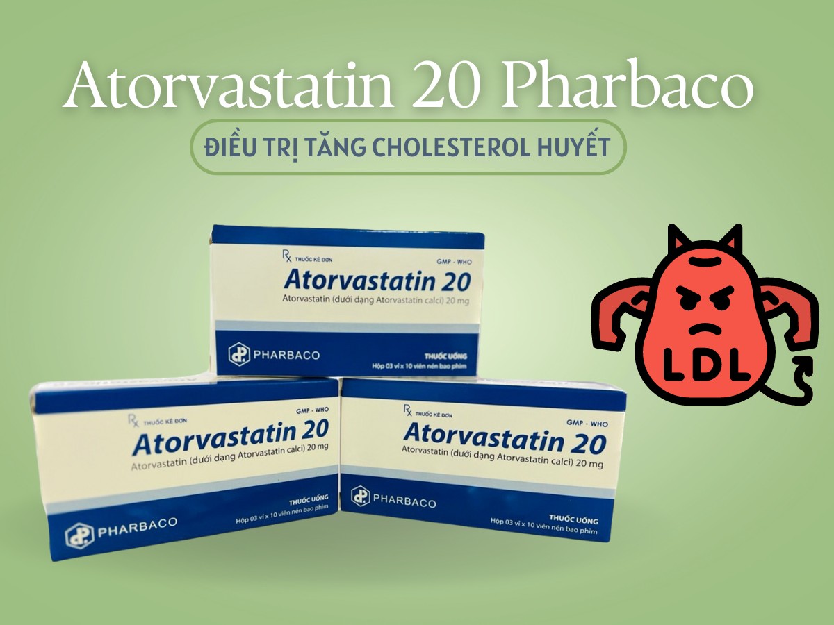 Thuốc Atorvastatin 20 Pharbaco trị tăng cholesterol máu