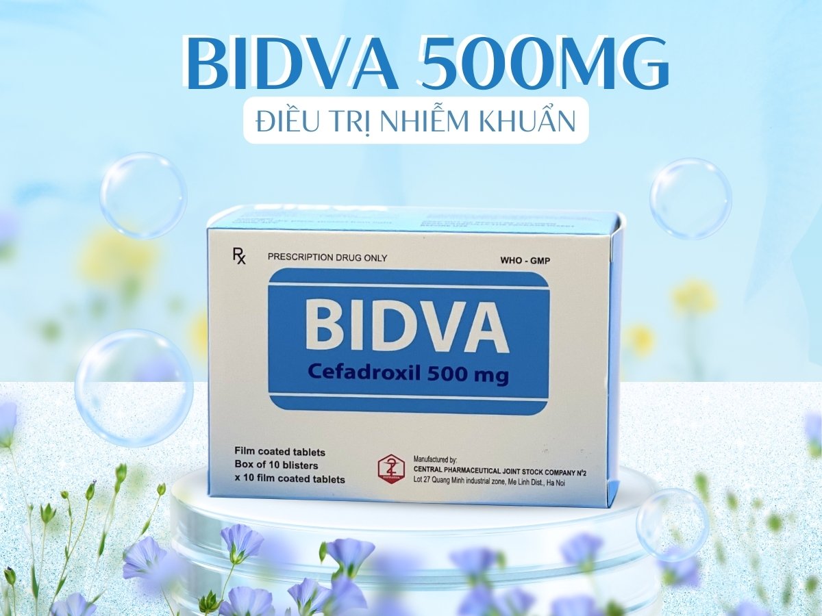 Thuốc Bidva 500mg điều trị bệnh do nhiễm khuẩn