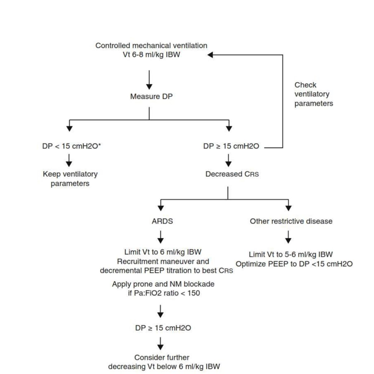 Hình 3 Sơ đồ luồng đề xuất để điều chỉnh các thông số thông khí theo áp lực đẩy ở những bệnh nhân cần thở máy xâm lấn. *Giới hạn 15 cmH2O chỉ mang tính suy đoán vì chưa xác định được giới hạn an toàn nào cho áp lực đẩy (xem văn bản). Từ viết tắt: Vt thể tích khí lưu thông, IBW trọng lượng cơ thể lý tưởng, DP áp lực đẩy đường thở, CRS độ giãn nở tĩnh của hệ hô hấp, NM thần kinh cơ, Tỷ lệ PaO2:FiO2 tỷ lệ áp lực riêng phần của oxy động mạch với nồng độ oxy hít vào