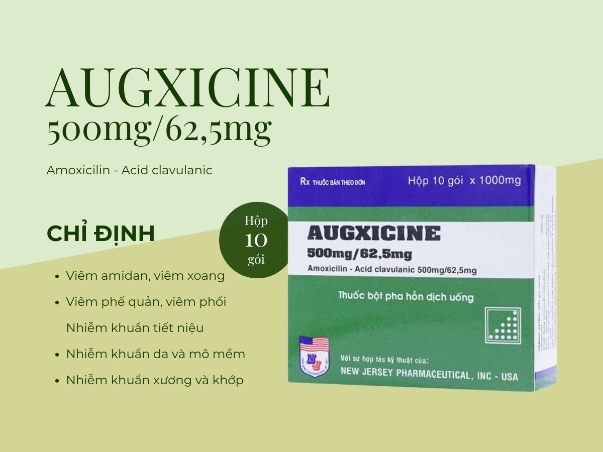 Thuốc Augxicine 500mg/62,5mg