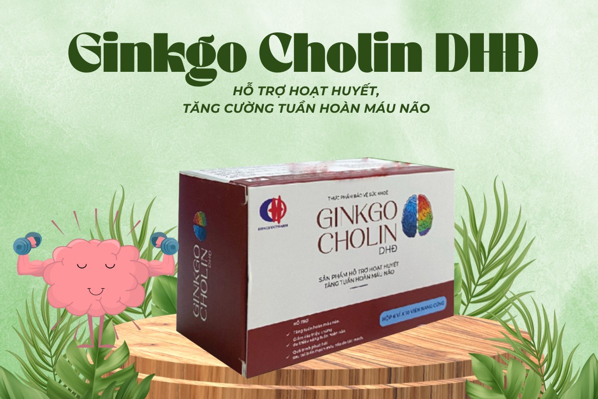 Ginkgo Cholin DHĐ hỗ trợ hoạt huyết, tăng cường tuần hoàn não