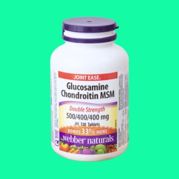 Joint Ease Glucosamine Chondroitin MSM