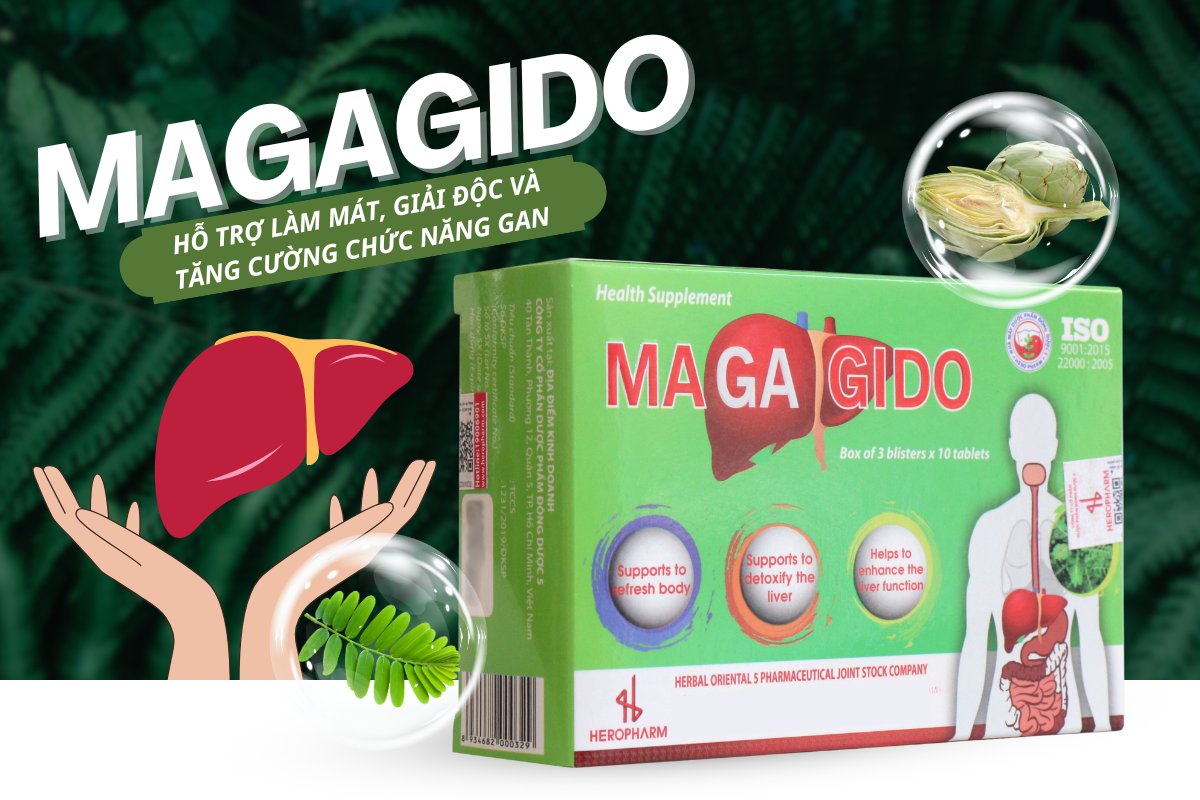 Magagido hỗ trợ thanh nhiệt, giải độc, tăng cường chức năng gan