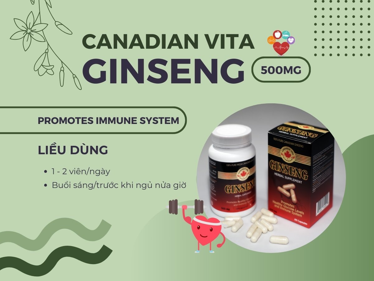 Viên nang sâm Canadian Vita Ginseng