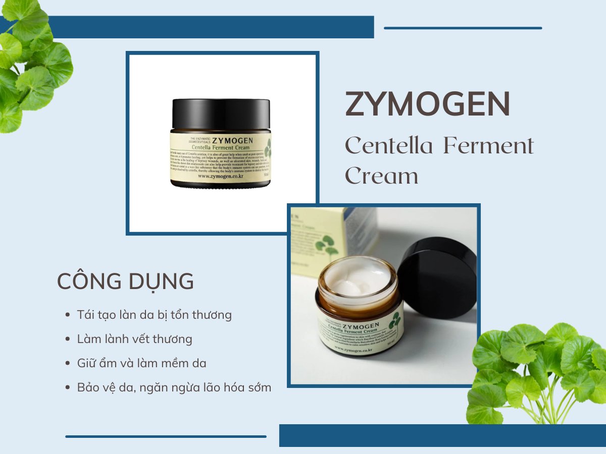 Zymogen Centella Ferment Cream