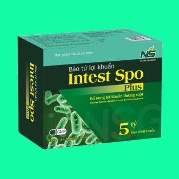 Bào tử lợi khuẩn Intest Spo Plus