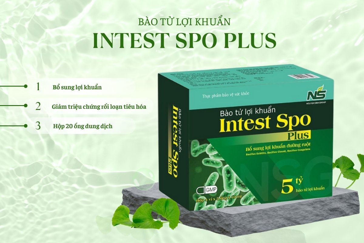 Bào tử lợi khuẩn Intest Spo Plus giảm triệu chứng rối loạn tiêu hóa