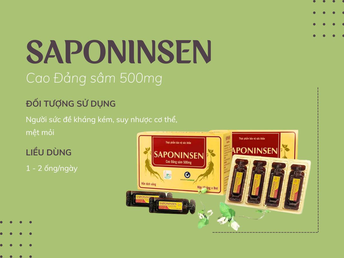 Cao đảng sâm Saponinsen