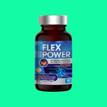 Flex Power