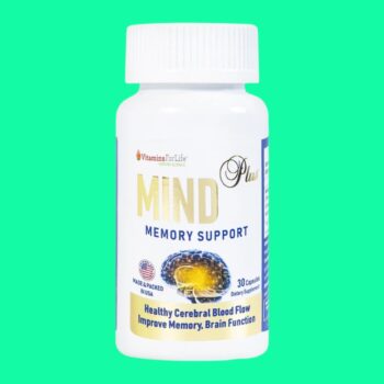 Mind Plus