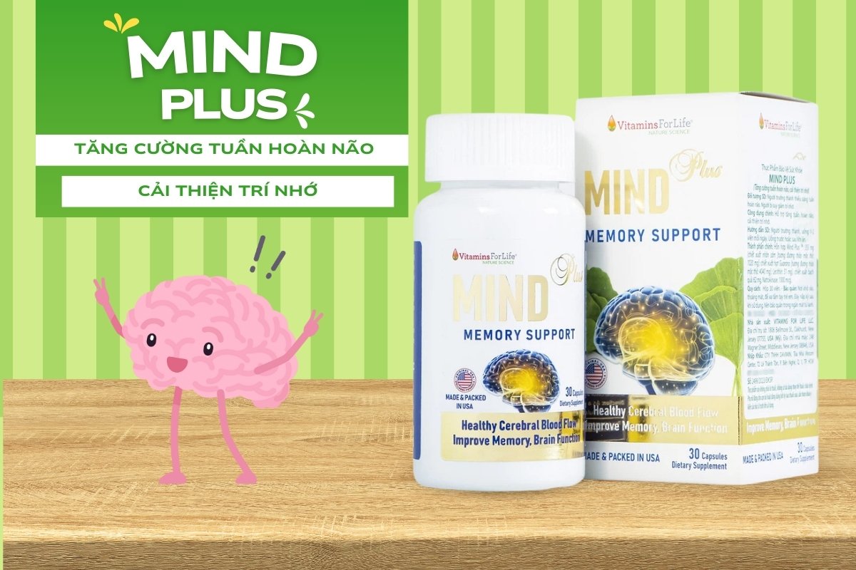 Mind Plus tăng cường tuần hoàn máu não, cải thiện trí nhớ