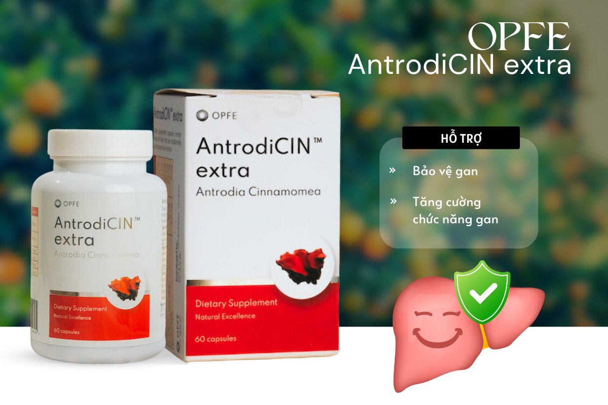 Opfe AntrodiCIN extra hỗ trợ bảo vệ và tăng cường chức năng gan