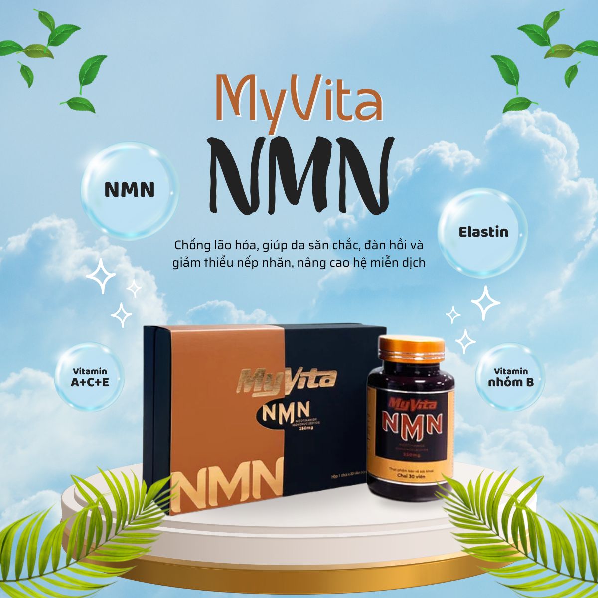 MyVita NMN