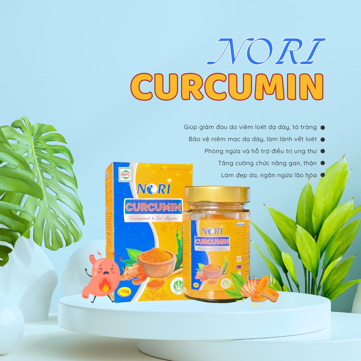 Nori Curcumin