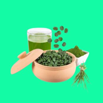 Tảo Xoắn Spirulina Japan Algae