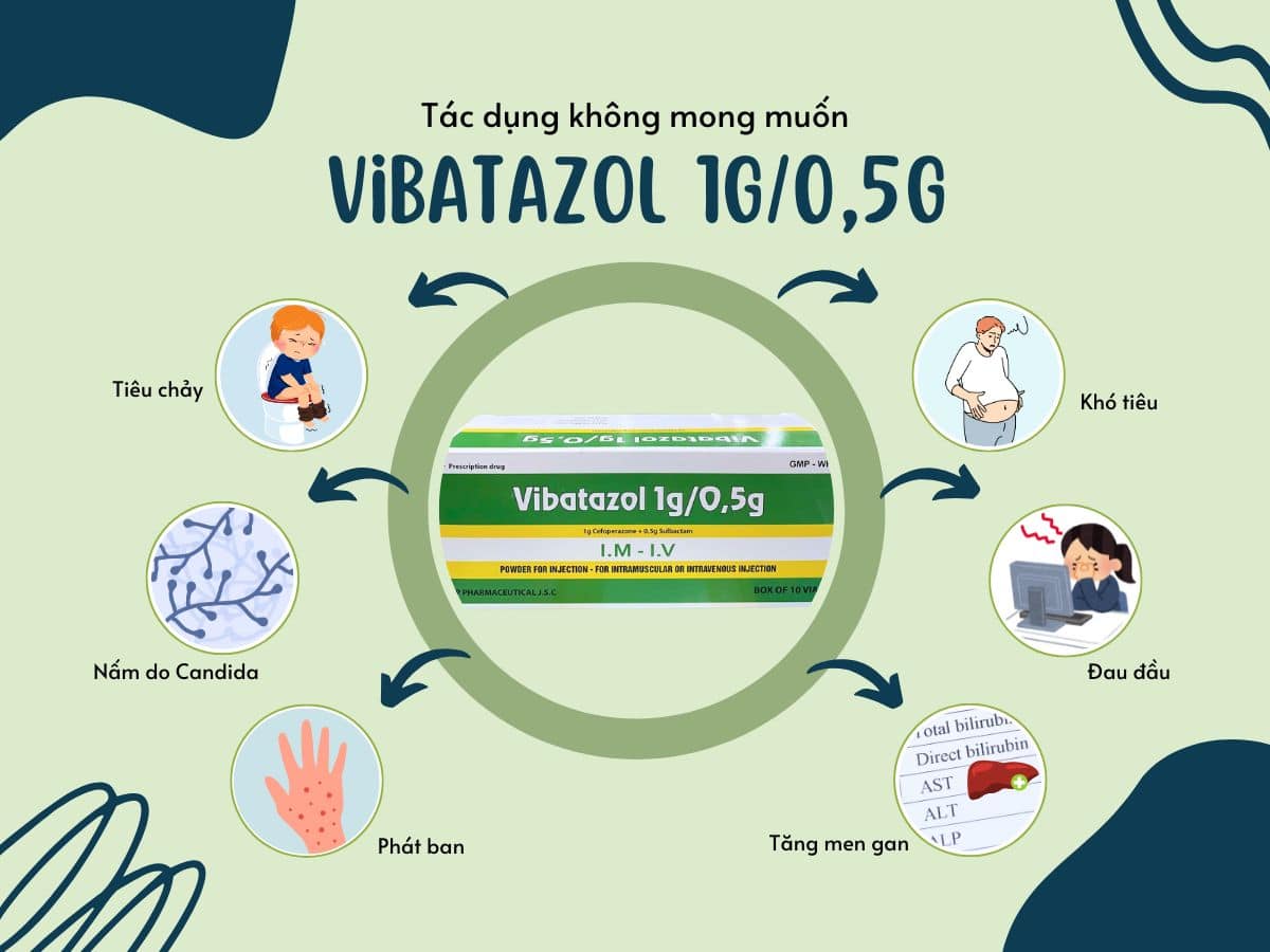 Thuốc Vibatazol 1g/0,5g