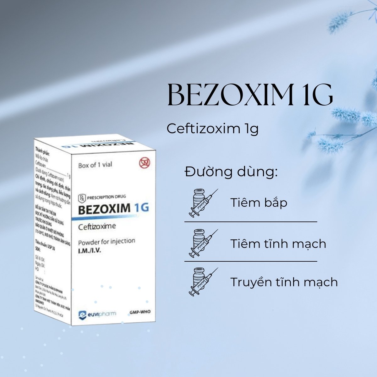 Thuốc Bezoxim 1g