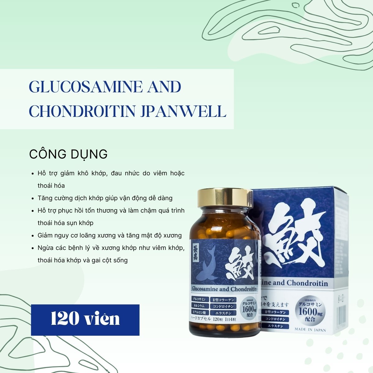 Glucosamine And Chondroitin Jpanwell