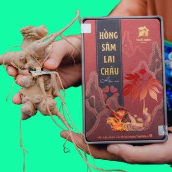 Hồng Sâm Lai Châu hữu cơ