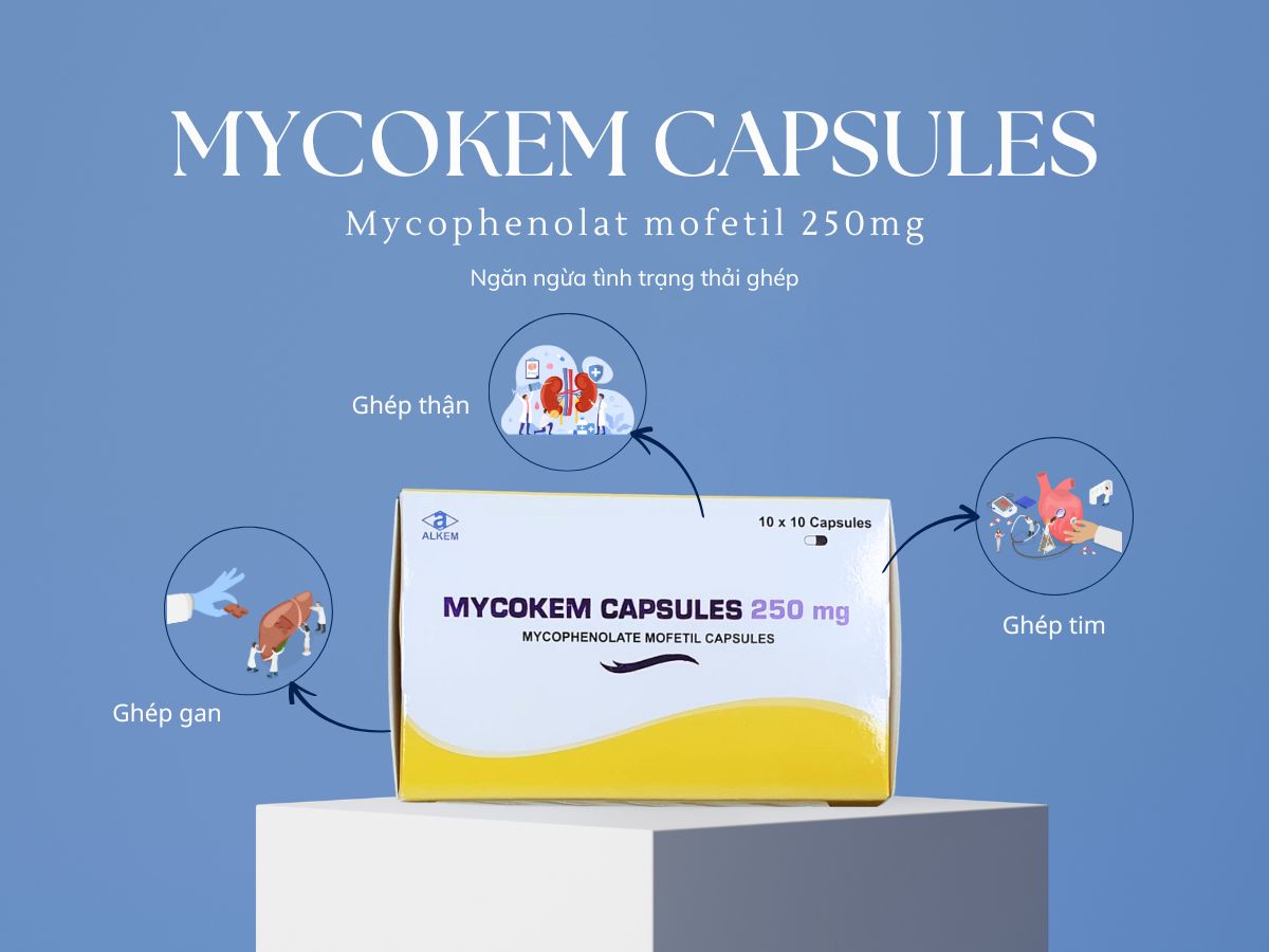 Thuốc Mycokem Capsules 250mg