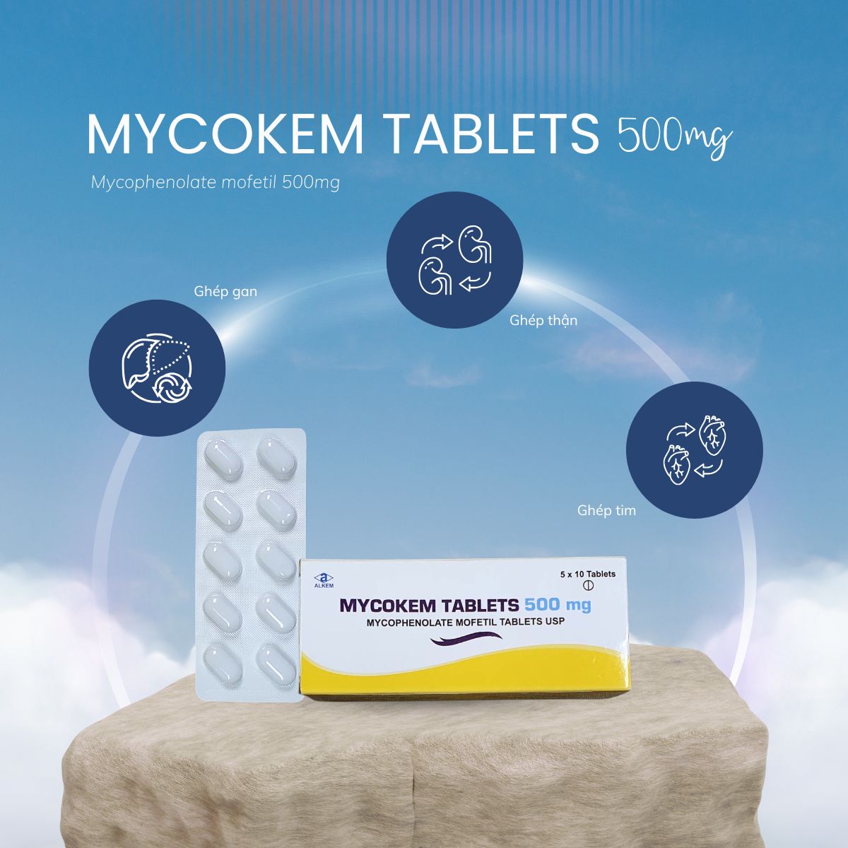 Thuốc Mycokem tablets 500mg