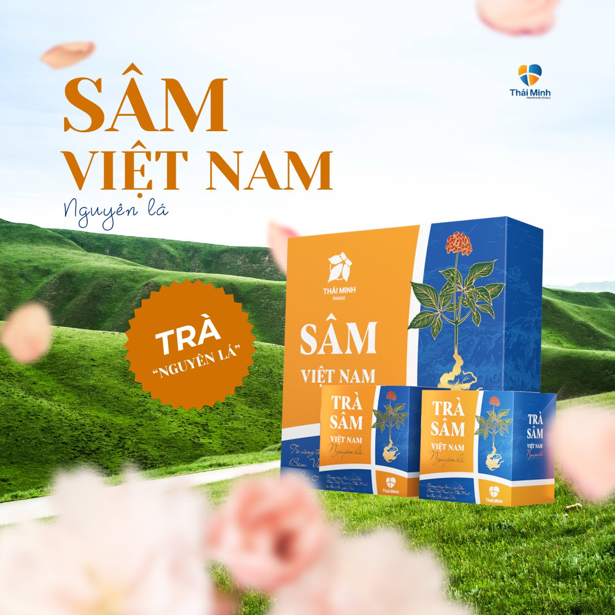 Trà Sâm Việt Nam Nguyên Lá