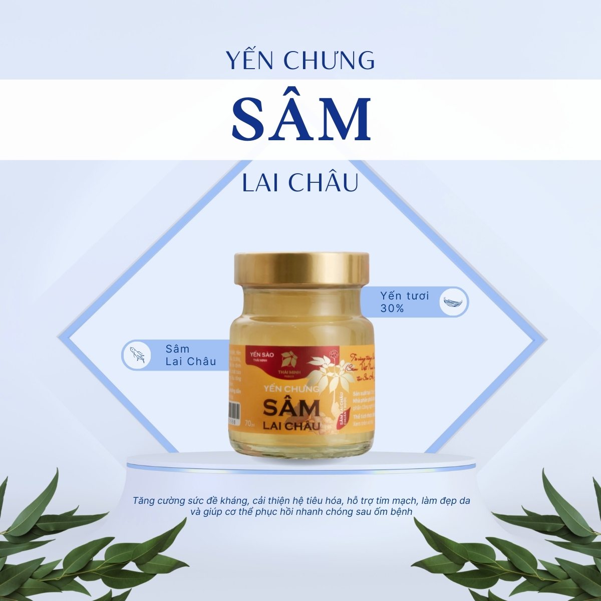 Yến chưng Sâm Lai Châu