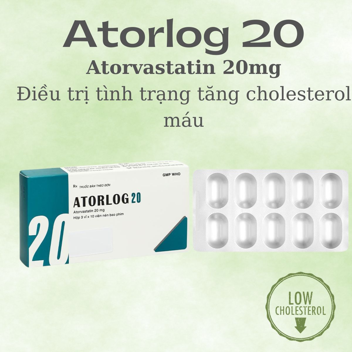 Atorlog 20 điều trị mỡ máu