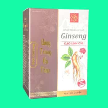 Đông Trùng Hạ Thảo Ginseng Cao Linh Chi