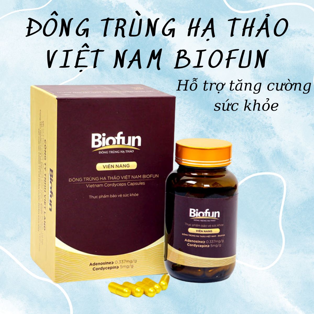 Đông Trùng Hạ Thảo Việt Nam Biofun có công dụng gì?