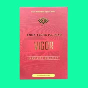 Đông Trùng Hạ Thảo Vigor