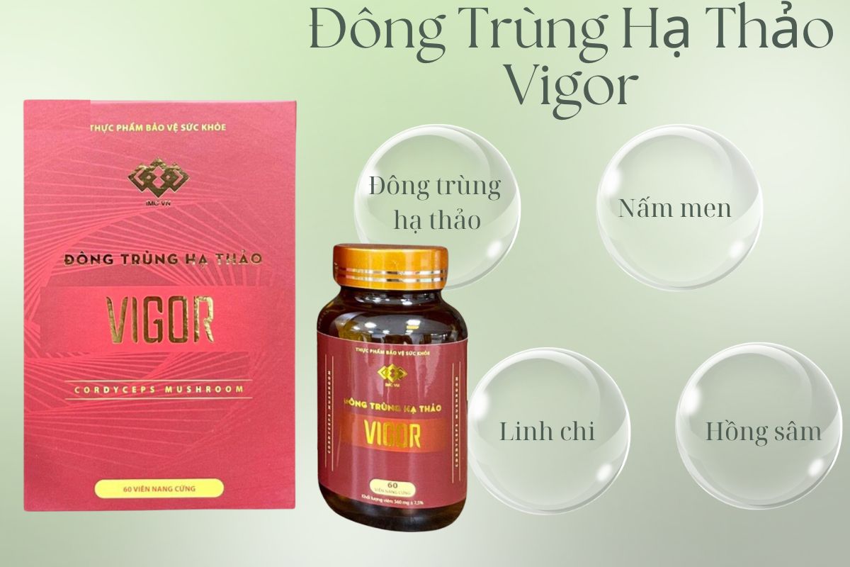 Thành phần Đông Trùng Hạ Thảo Vigor