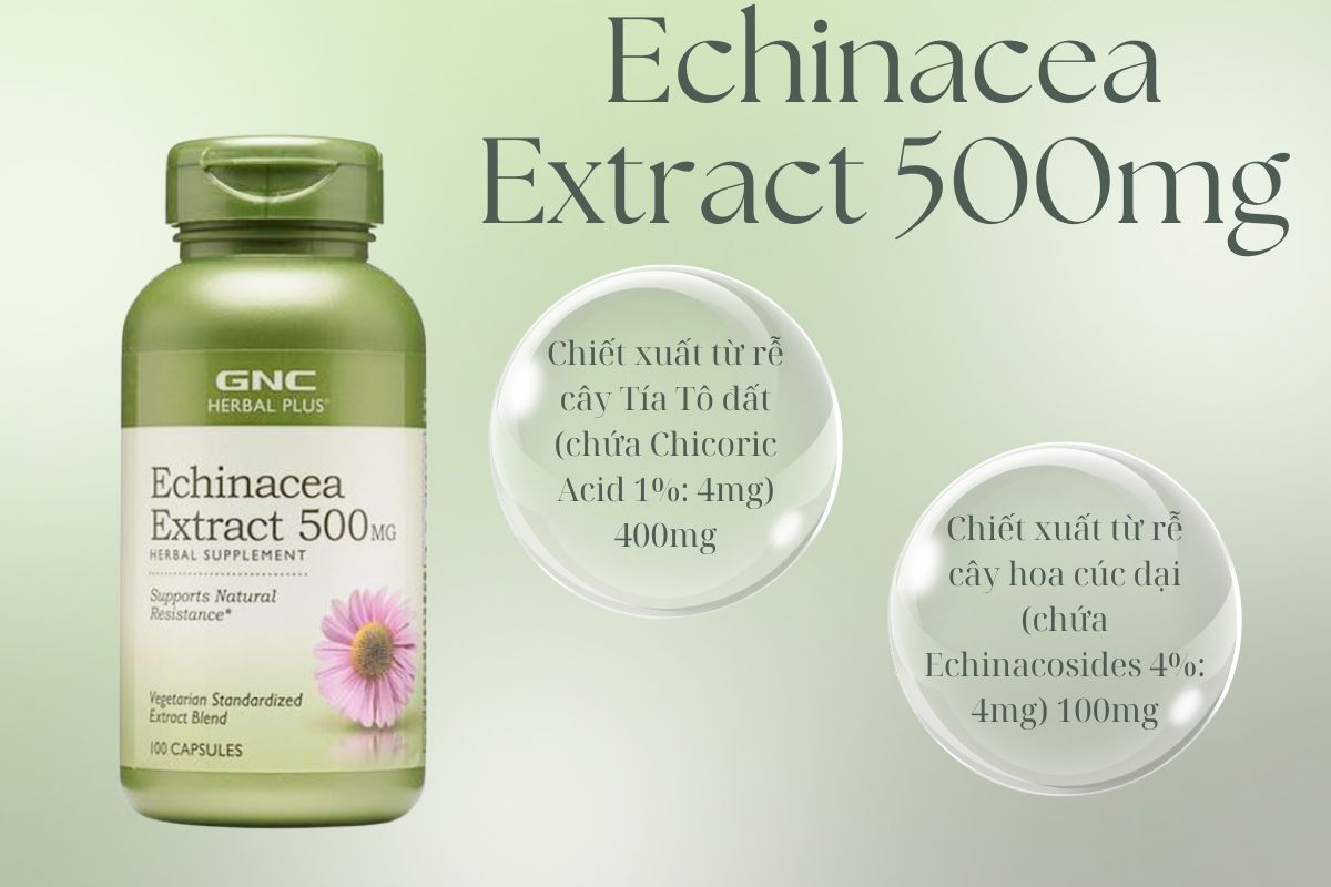 Thành phần Echinacea Extract 500mg