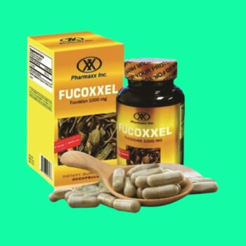 Fucoxxel