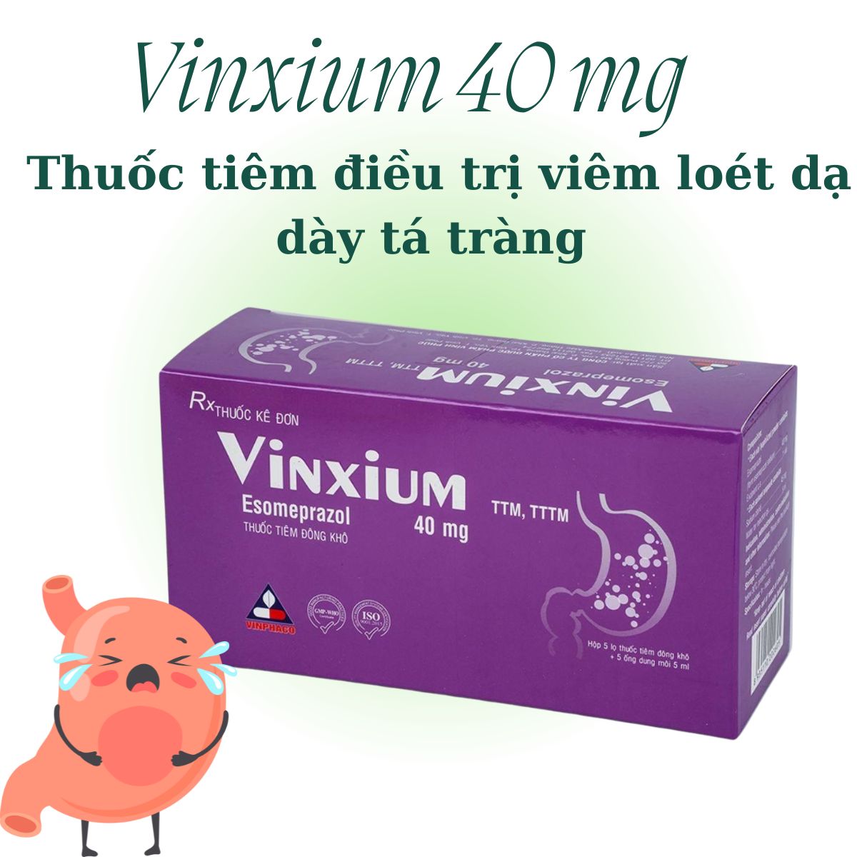 Vinxium điều trị viêm loét dạ dày tá tràng