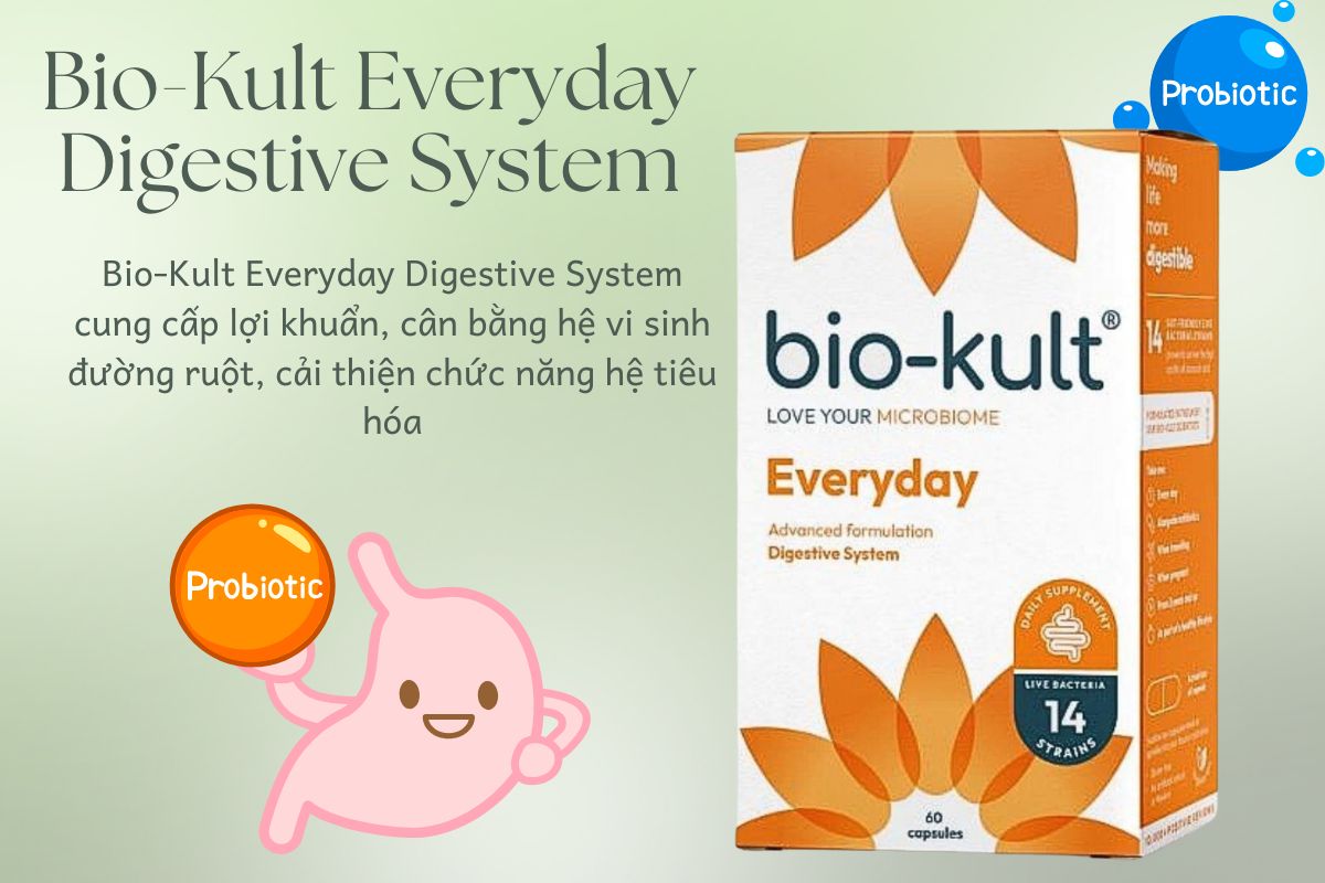 Công dụng của sản phẩm Bio-Kult Everyday Digestive System