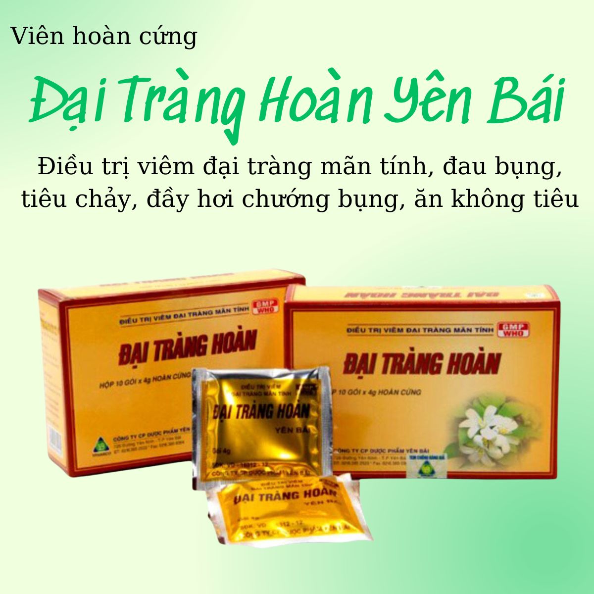 Chỉ định thuốc Đại Tràng Hoàn Yên Bái