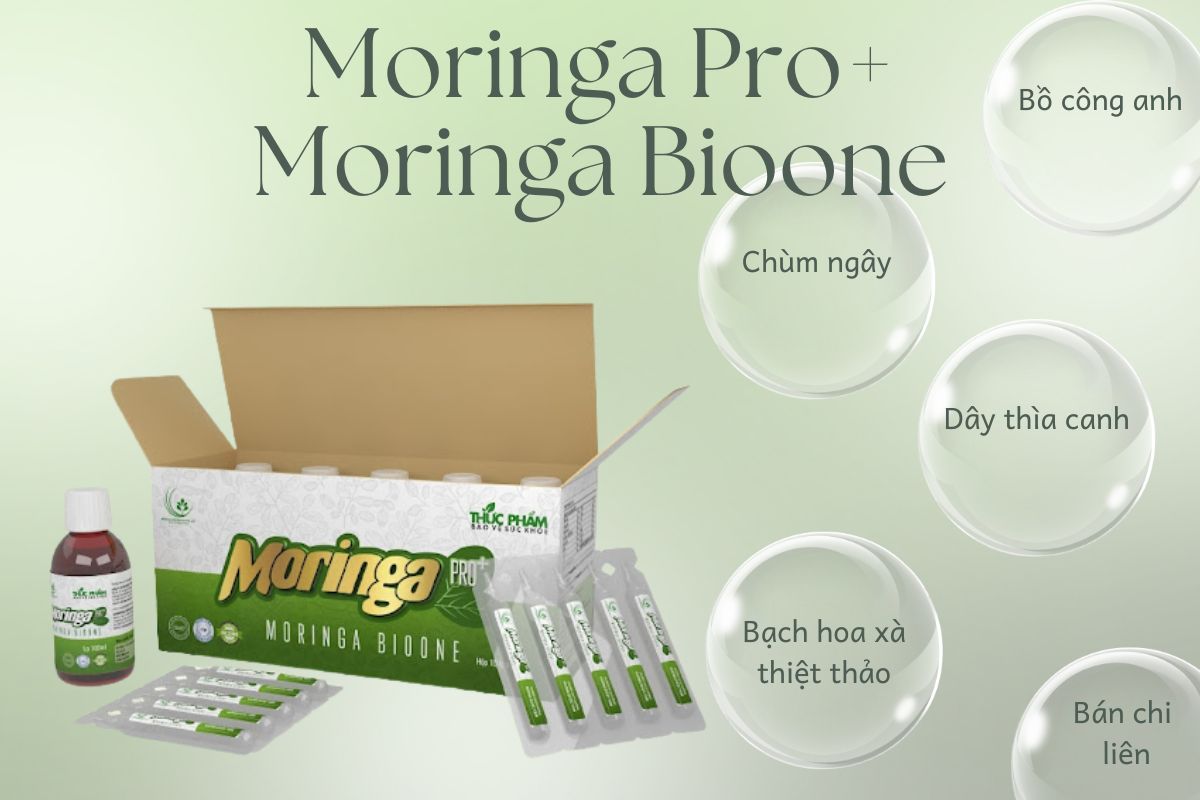 Thành phần sản phẩm Moringa Pro+ Moringa Bioone