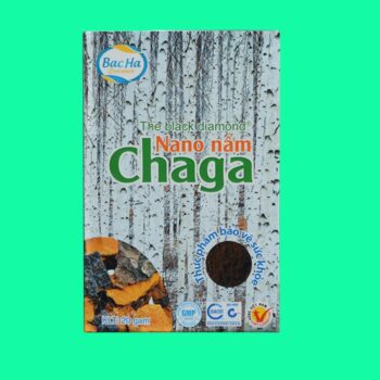 Nano Nấm Chaga The black Diamond